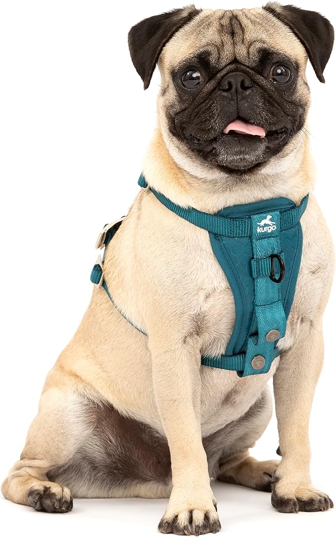 Kurgo Enhanced Strength Tru-Fit Dog Car Harness - Pet Travel Safety Harness - Crash Test Certified Fit - Five Point Adjustment - Secure Buckle - Padded Chest - Ink Blue - X-Small