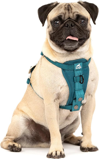 Kurgo Enhanced Strength Tru-Fit Dog Car Harness - Pet Travel Safety Harness - Crash Test Certified Fit - Five Point Adjustment - Secure Buckle - Padded Chest - Ink Blue - X-Small