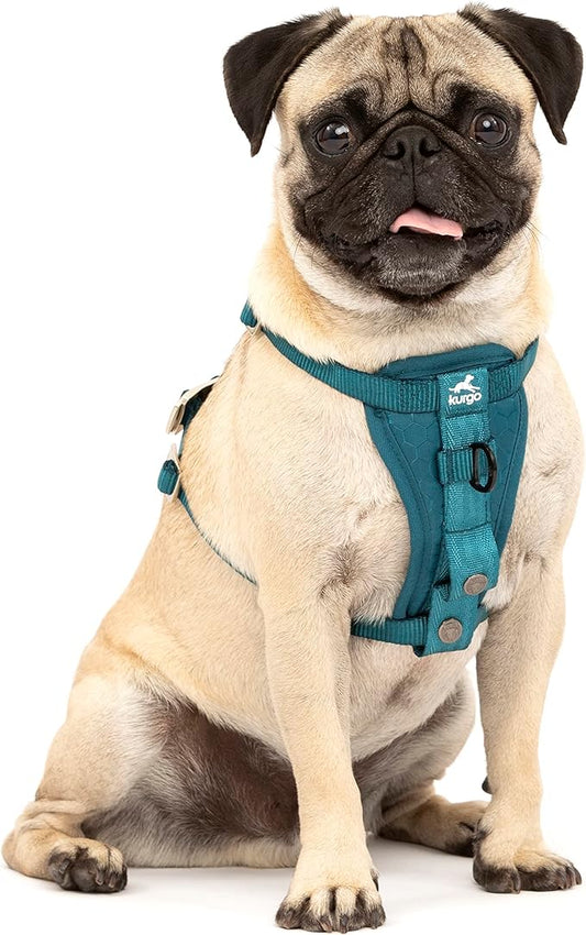 Kurgo Enhanced Strength Tru-Fit Dog Car Harness - Pet Travel Safety Harness - Crash Test Certified Fit - Five Point Adjustment - Secure Buckle - Padded Chest - Ink Blue - X-Small