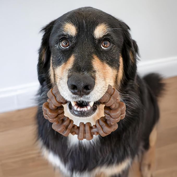 Nylabone Strong Chew Textured Ring Dog Toy Made with Real Beef & Chicken, Durable Chew Toys for Aggressive Chewers, Long Lasting Dog Bone, Keeps Dogs Busy, X-Large Breeds - 50+ lbs