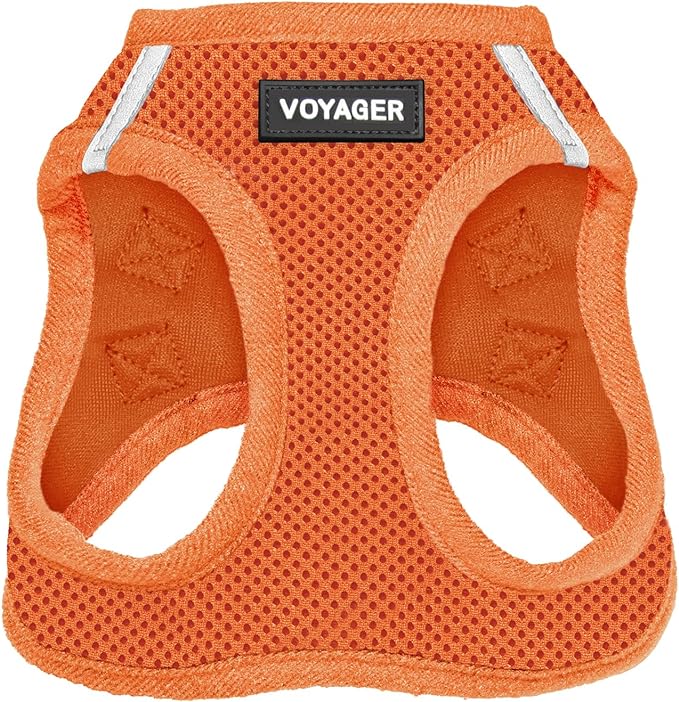 Best Pet Supplies Voyager Step-in Air Harness - All Weather Mesh, Reflective, No Pull Harness for Dogs, Cats - Secure with Hook & Loop Fastener, Buckle, Double D-Rings - Orange, XXS