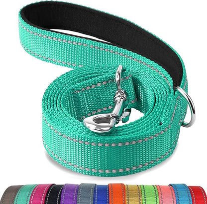 Joytale Dog Leash, 6 FT Double-Sided Reflective, Padded Handle Nylon Heavy Duty Leashes for Medium & Large Dogs Walking, Teal