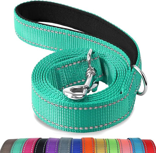 Joytale Dog Leash, 4 FT Double-Sided Reflective, Padded Handle Nylon Heavy Duty Leashes for Small Dogs Walking, Teal