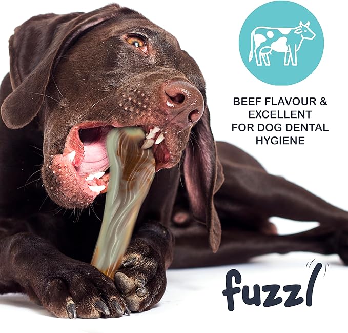 Ultra Tough Nylon Dog Chew Toy - Wishbone & Bone, Beef Scented, Heavy Duty, Water Resistant, Large Breed, 2 Count