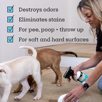 Pet Life Unlimited SuperFoam Spray, Carpet and Surface Cleaner for Dog Urine, 16 oz, Strong Odor & Stain Remover, Plant-Based Formula, Natural Juniper Leaf Scent, Two-Way Spray, USA Made (Pack of 3)