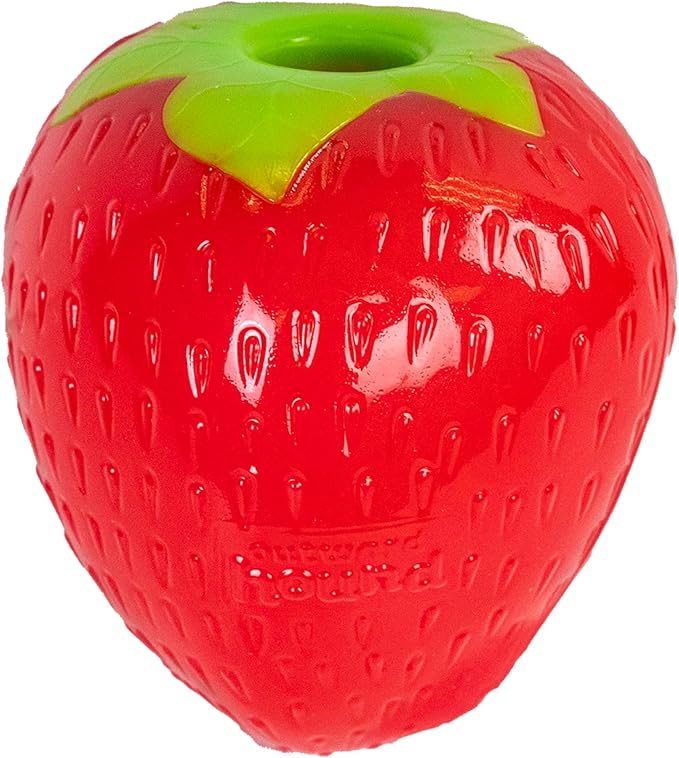 Outward Hound by Planet Dog Foodies Strawberry Treat-Dispensing Dog Chew Toy, Pink
