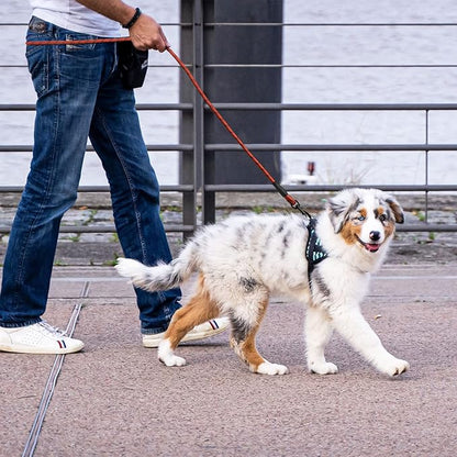 5/6 FT Strong Pet Dog Leash with Soft Padded Handle,Highly Reflective Rope for Night Walking,360-Degree Rotating Metal Buckle Without Tangles,Suitable for Small,Medium and Large Dogs.(6ft)