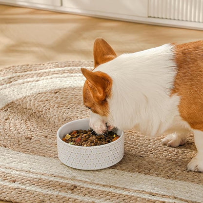 MALACASA Ceramic Dog Food Bowl, 3.5 Cups or 32oz Dog Food Water Dish for Mudium Breeds, Pet Bowl Dishwasher & Microwave Safe, Honeycomb, Series Lydia