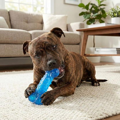 SPOT Play Strong Scent-sations Bone - Scent-Infused, Strong, Durable TPR Rubber, Heavy Duty Dog Toys for Aggressive Chewers up to 45lbs, Perfect for Puppies & Medium Breeds, 6in, Bacon Flavored
