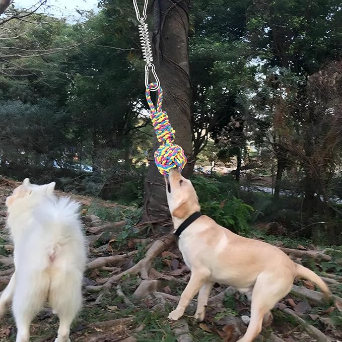 Dog Bungee Hanging Toy, Spring Pole Rope Pull & Tug of War Toy for Aggressive Chewers Middle Large Dogs to Exercise Solo Play, Interactive Tether Tug Outdoor Dog Toy with 2 Chew Ropes