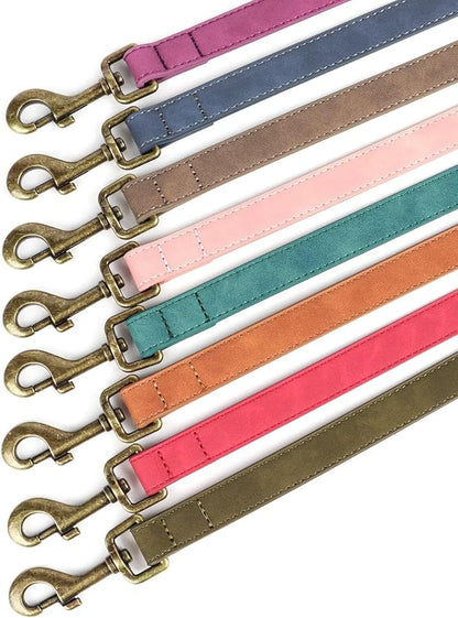 Didog PU Leather Dog Leash, Colorful Dog Leash 4ft, Strong and Durable Faux Leather Lead, Walking and Training Lead for Small Medium Dogs,Red