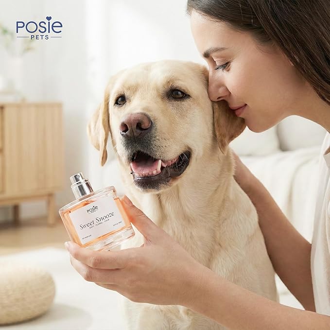 Dog Cologne Spray with Long Lasting Jasmine, Musk, and Vanilla Scent - Vegan Alcohol-Free Pet Deodorizer for Smelly Dogs - Water-Based Luxury Puppy Grooming Fragrance - Sweet Snooze 3.4FlOz