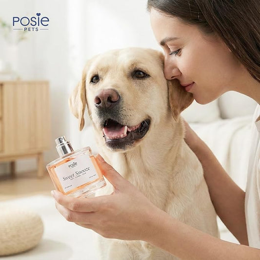 Dog Cologne Spray with Long Lasting Jasmine, Musk, and Vanilla Scent - Vegan Alcohol-Free Pet Deodorizer for Smelly Dogs - Water-Based Luxury Puppy Grooming Fragrance - Sweet Snooze 3.4FlOz