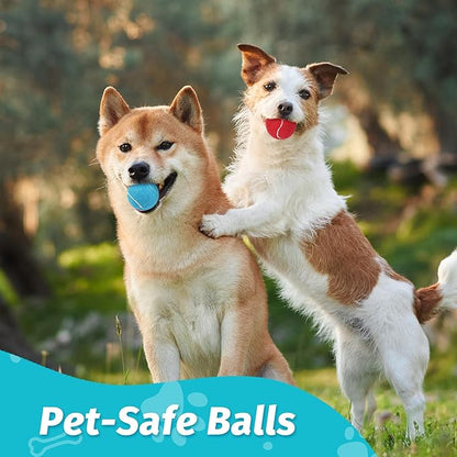 Prime Pets Tennis Balls for Dogs, 12 Pack 2.5” Durable Squeaky Dog Balls with High Bounce for Outdoor Play, Interactive Fetch & Training Dog Toys for Small and Medium Breeds