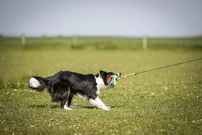 YES4QUALITY Flirt Pole for Dogs - Safe & Strong for Large Breeds with Non-Bungee Cord - Spring Pole for Tug of War, Interactive Play & Puppy Training - Heavy Duty Teaser Wand for Outdoor Exercise