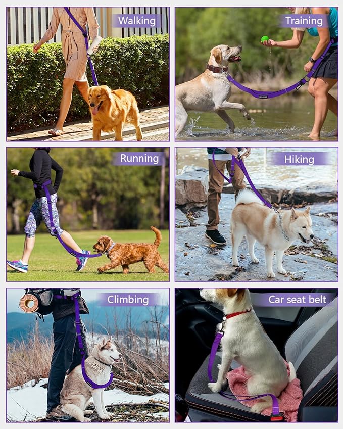 Hands Free Dog Leash, Multifunctional Crossbody Dog Leash, 5.9-9.5Ft Long Waist Belt with Car Seatbelt and Double-Sided Reflective Stitches for Medium and Large Dogs Walking, Jogging(Purple)