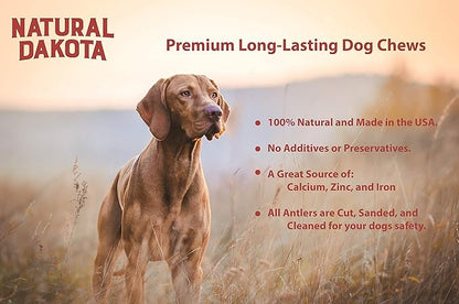 Premium Deer Antler Dog Chew Toys (1 LB Splits, Points, & Tines)