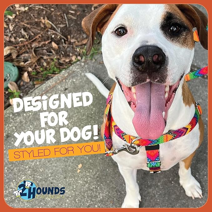 2 Hounds Design Freedom No Pull Dog Harness, Adjustable Harness, Easy Walking & Comfortable Control, Fits Small, Medium & Large Dogs, Solid Colors, Made in USA, 1" LG, Purple