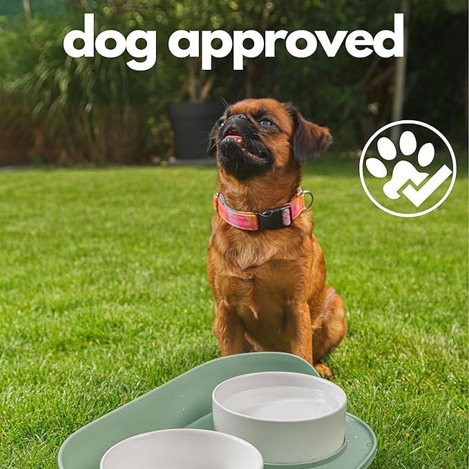 A4DOG Ceramic Dog Bowls with Stand - Elevated Dog Water and Food Bowl Set 13.5oz Cat & Dog Feeding Station Spill Proof Splash Proof Raised Pet Food Bowls for Dogs, No Mess Pet Feeder - Green