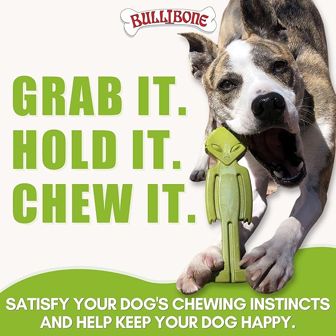 Bullibone Alien Bone: Chew Toy for Aggressive Chewers and Small Dogs (3 Pack)