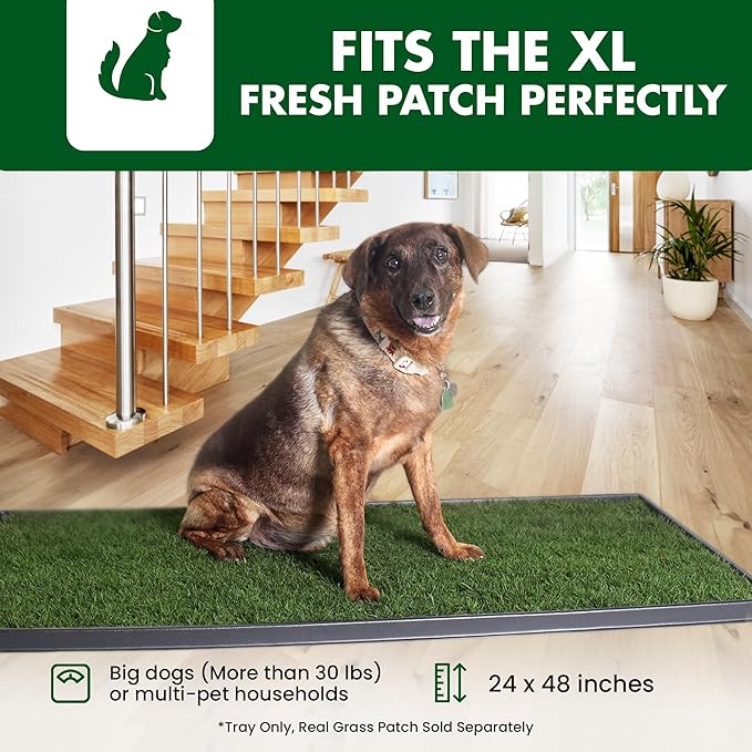 Fresh Patch Plastic Tray for XL Real Grass Pee and Potty Training Pads for Large Dogs and Multi-Dog Households – 4 ft x 2 ft Multi-Purpose and Reusable Crate Tray for Indoor and Outdoor Use
