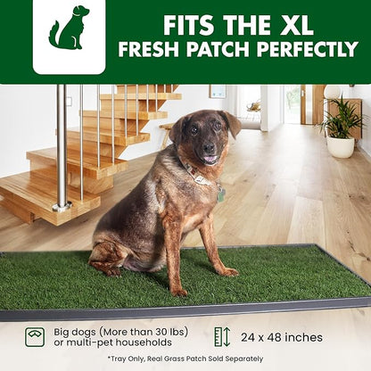 Fresh Patch Plastic Tray for XL Real Grass Pee and Potty Training Pads for Large Dogs and Multi-Dog Households – 4 ft x 2 ft Multi-Purpose and Reusable Crate Tray for Indoor and Outdoor Use