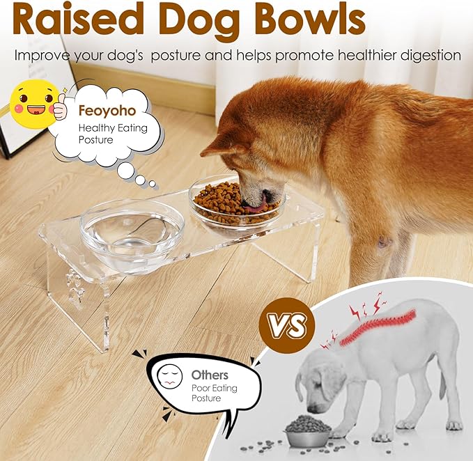 Elevated Dog Bowls for Medium Dogs – 5.5” Acrylic Raised Pet Feeder Stand with 2 Stainless Steel & 2 Glass Removable Bowls – Food & Water Dish Set