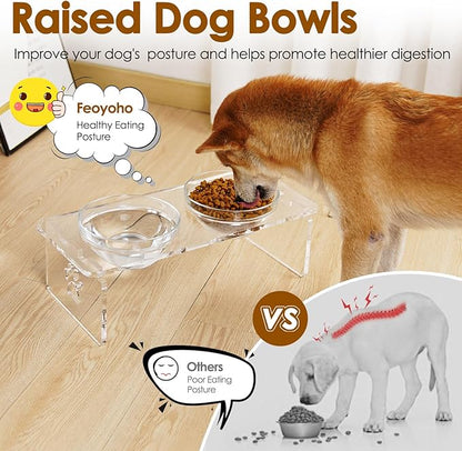 Elevated Dog Bowls for Medium Dogs – 5.5” Acrylic Raised Pet Feeder Stand with 2 Stainless Steel & 2 Glass Removable Bowls – Food & Water Dish Set