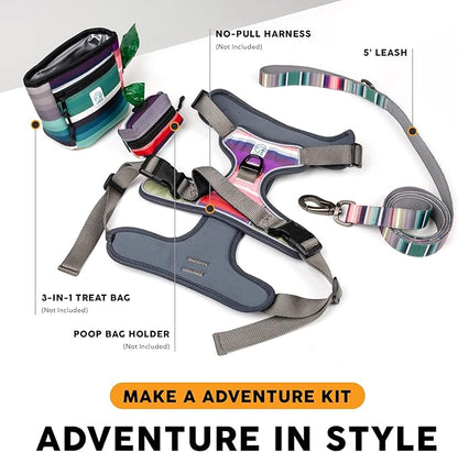 Embark Adventure Dog Leash – Strong & Sturdy for Small, Medium & Large Dogs (Baja, 5 Ft)