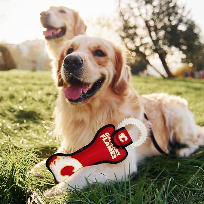 Pets First NHL Calgary Flames Dog Bone Squeak Toy with Cleaning Teething Ring