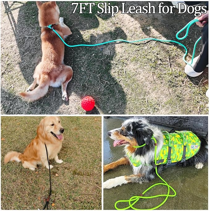 MayPaw Slip Lead Control Leash for Dogs No Pull, 13+ Colors Classic Dog Lead 7FT Pet Slip Leash, 1/4” Rope Leashes for Small Medium Animals Orange
