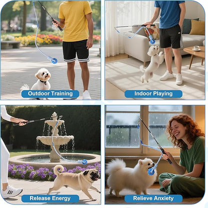 Flirt Pole for Dogs Interactive Dog Pole Toy for Large Medium Small Dogs, Sports Dog Teaser Pole for Tug of War, Flirt Pole with Lure Ball (Standard Pole + Elastic Rope)