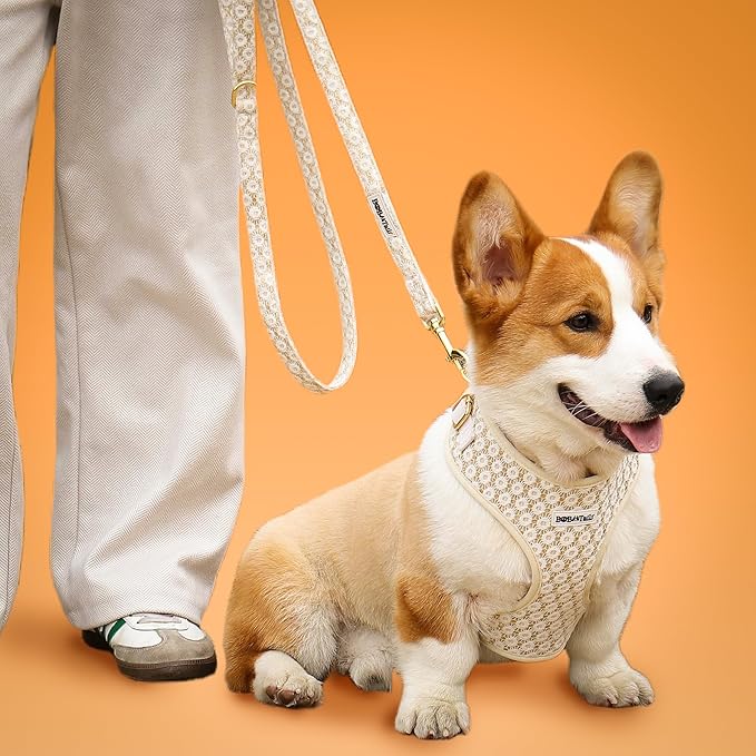 5 FT Stylish Dog Leash, Soft Dog Leashes with Comfortable Padded Handle, Metal Carabiner Clip, Strong No Pull Pet Leash for Small Medium Dogs for Walking, Shopping and Running