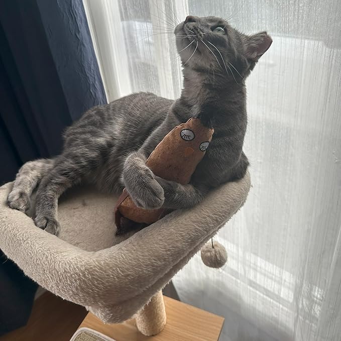SPOT Corkies Hug N Kick Catnip Cat Toy – Natural Cork and Feathers, Engaging Enrichment for Cats, Promotes Activity, Eases Stress, Ideal for Indoor Pets, Assorted Styles, 1 Piece