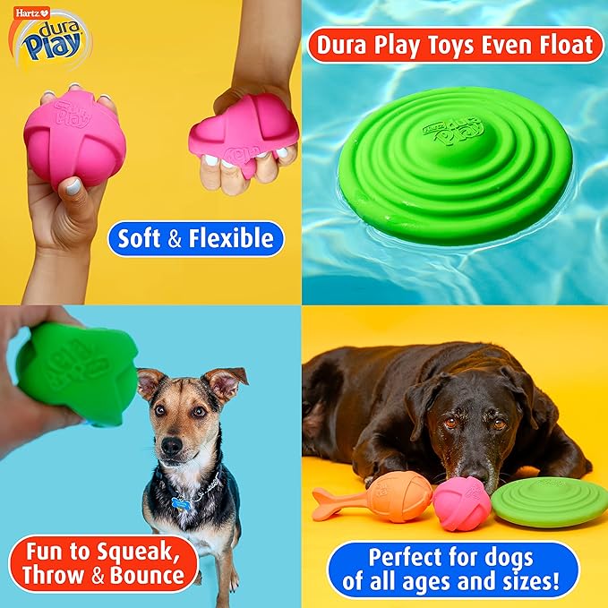 Hartz DuraPlay Bacon Scented Dog Toys, Medium/Large (Colors May Vary) All Breed Sizes (Pack of 2)