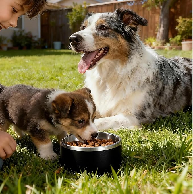 Dog Bowl, Stainless Steel Dog Bowls for Food and Water, Metal Pet Feeding Bowl with Insulated Non-Slip Quiet Bottom, Easy to Clean, Dishwasher Safe, 32oz,4 Cup | Black
