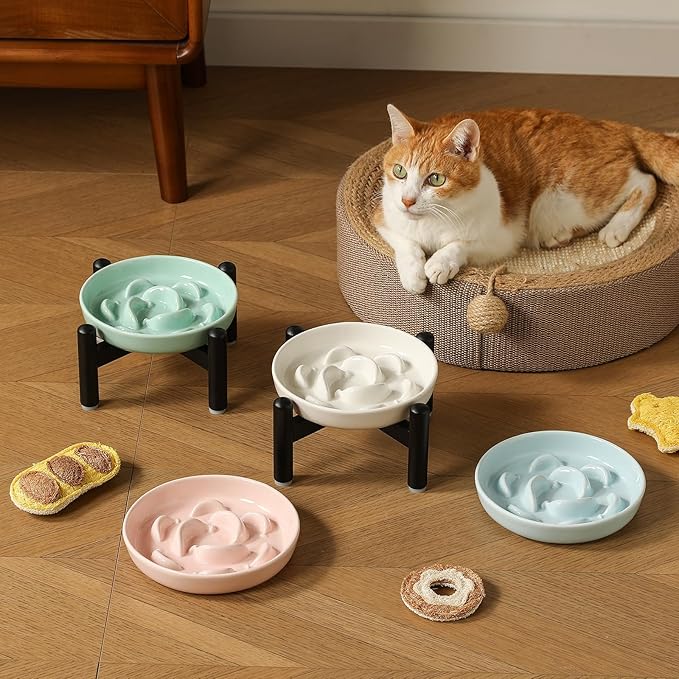 Elevated Slow Feeder Cat Bowl - Ceramic Cat Food Dish with Anti-Slip Stainless Steel Stand - Raised Maze Plate for Slow Eating - Mint Green