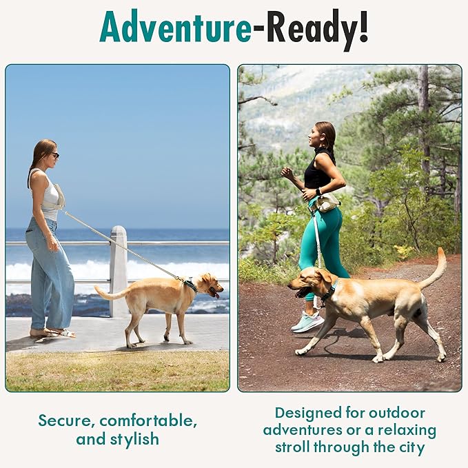 Hands Free Dog Leash with Dog Treat Pouch - Stylish & Trendy Waist Leash for Dog Walking - Wear Around the Waist or Crossbody - Durable & Detachable - Shock Absorbing - Waste Bag Dispenser