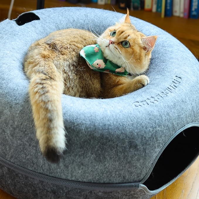 Cattasaurus Peekaboo Cat Cave Donut for Multiple & Large Cats up to 30-45 lbs, 3-in-1 Self Warming Cat Bed, Tunnel & Scratcher for Indoor Cats, Washable & Detachable Small Dog Bed (Light Gray, Jumbo)