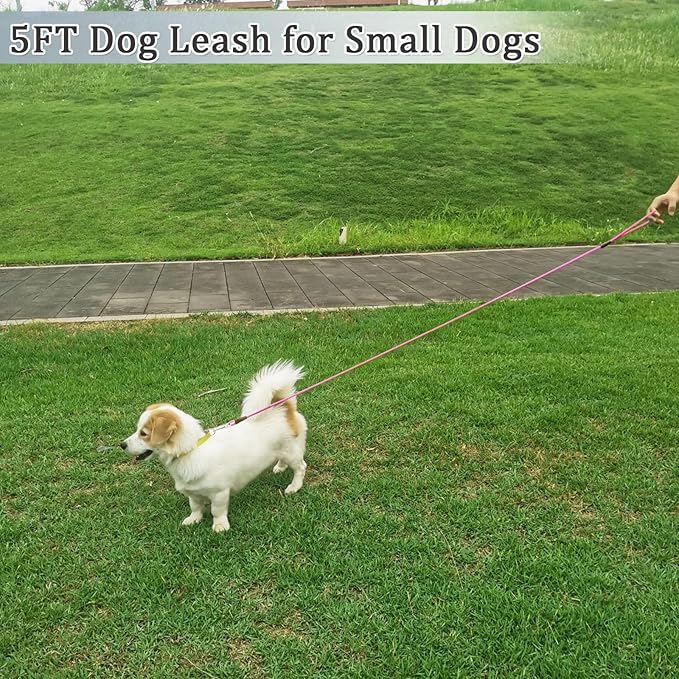 WYuZe 5ft Puppy/Dog Leash for Small Dogs, 1/4" Thin Rope Leash with Easy to Use Hook, Lightweight Leashes for Cat/Tiny Breed Walking Training, 10 Colors, Black Pink