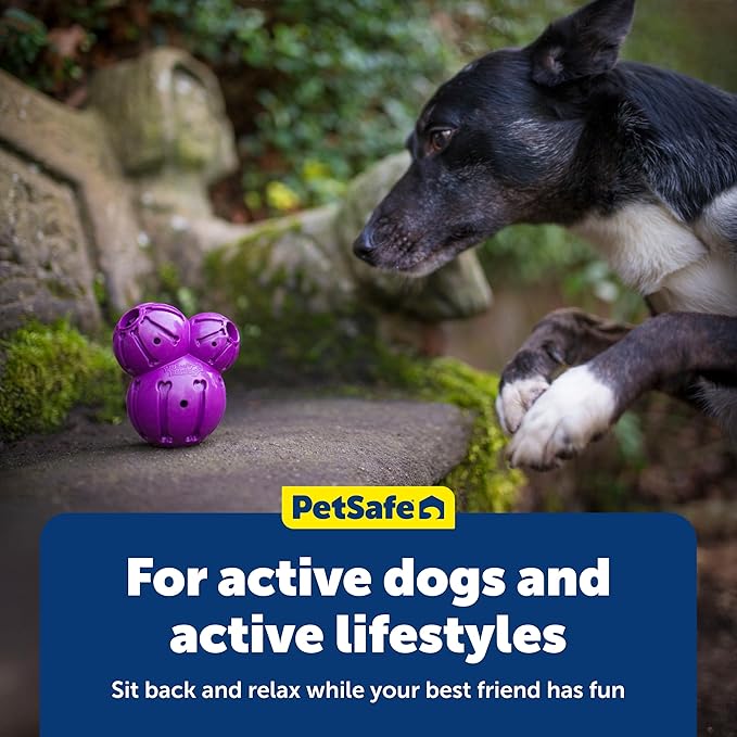 PetSafe Busy Buddy Barnacle - Treat Dispensing Dog Toy for Mental Stimulation - Natural Rubber - Durable Construction - Dishwasher Safe - Treat Meter Technology - Perfect for Peanut Butter - Large