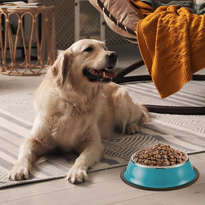 Roshtia 6 Pcs 30 oz Stainless Steel Dog Bowl, Dog Food Water Bowl with Anti Skid Silicone Base Stackable Dishwasher Safe Pet Puppy Dishes for Medium Large Dogs Cat Multipet Families