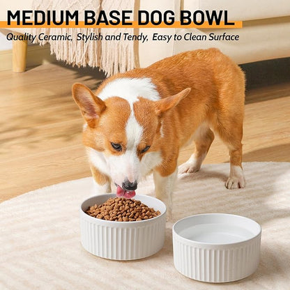Non-Slip Ceramic Dog Bowls,6" Dog Food and Water Bowl Set with Silicone Base, 32oz/4cups Weighted Flip-Proof Pet Feeding Bowl for Medium Dogs (Medium,White)