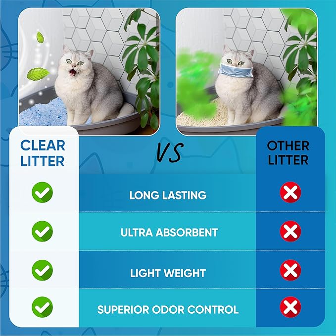 Cat Litter – Premium Lightweight, Non-Clumping, Dust-Free Crystals for Fresh Odor Control, ScoopFree & Easy to Clean, Pretty Kitty Litter for Multi-Cat Homes, Long-Lasting Performance
