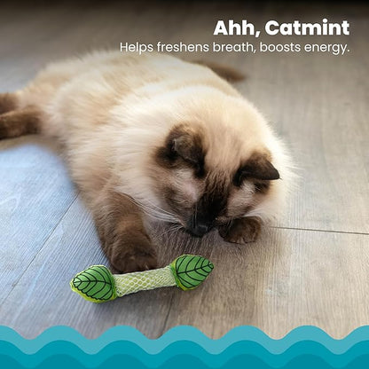 Catstages Fresh Breath Mint Stick Dental Cat Chew Toy with Catmint, Teeth Cleaning & Fresh Breath, Solo or Interactive Play, Green