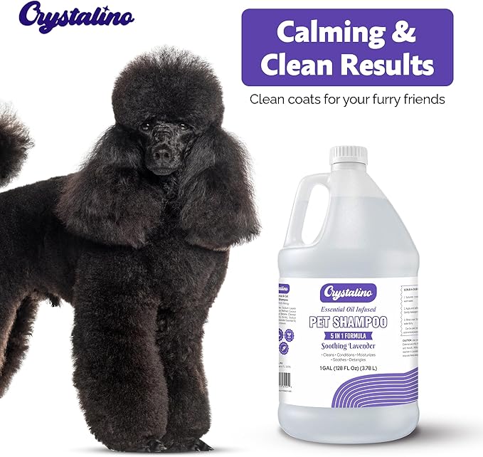 Dog Shampoo Conditioner - Lavender - (1 Gallon) Pet Shampoos for Dogs, Oatmeal Dog & Puppy Shampoo Sensitive Skin and Itchy Skin Relief, Bath Supplies for Dogs Wash, Moisturizing for Pets