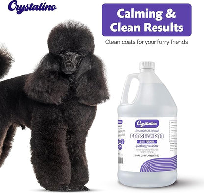 Dog Shampoo Conditioner - Lavender - (1 Gallon) Pet Shampoos for Dogs, Oatmeal Dog & Puppy Shampoo Sensitive Skin and Itchy Skin Relief, Bath Supplies for Dogs Wash, Moisturizing for Pets
