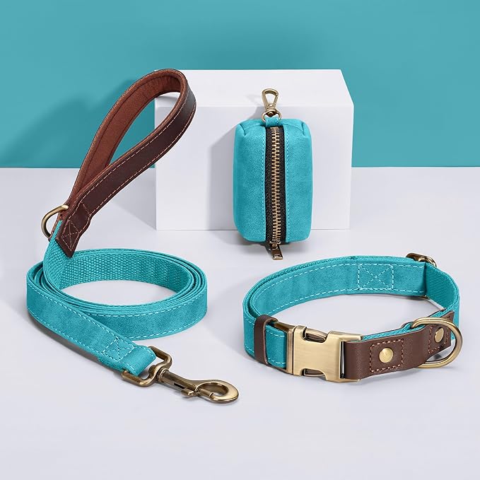 Didog Classic Dog Poop Bag Holder, Easy-Pull and Elegant PU Leather Pet Waste Bag Dispenser for Leash with Carabiner Clip, Includes 1 Roll Dog Waste Bag for Daily Walking,Light Blue