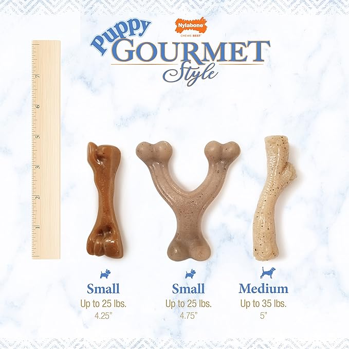 Nylabone Gourmet Style Stick Strong Chew Toy for Puppies, Soothing Puppy Teething Toys, Puppy Enrichment, Chicken Flavor, Medium - Up to 35 lbs., 1 Count
