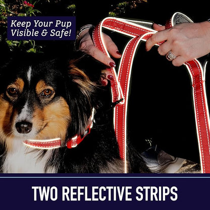 Reflective 6 Foot Leash with Padded Handles - Double Handle Pattern Collection by Leash Boss